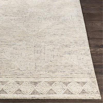 product image for Newcastle NCS-2313 Hand Tufted Rug in Cream & Taupe by Surya 74