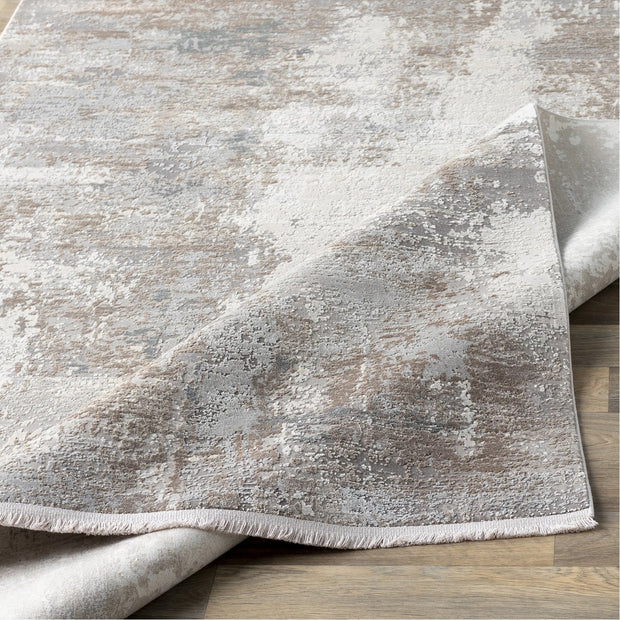 Solar SOR-2300 Rug in Taupe & White by Surya