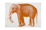 Elephant Canvas Wall Panel design by Thomas Paul