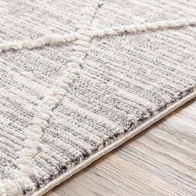 product image for Azilal Medium Gray Rug Texture Image 12