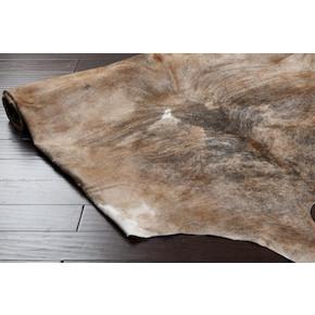 Duke Collection Animal Area Rug in Beige