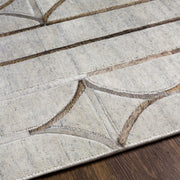 Eloquent Viscose Ivory Rug Texture Image