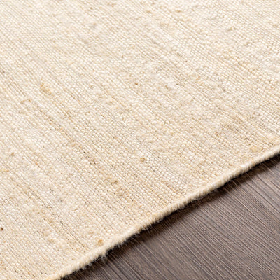 product image for Evora Jute Beige Rug Texture Image 75