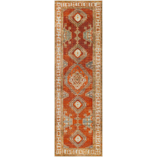 media image for Lavable Orange Rug Flatshot 2 Image 247