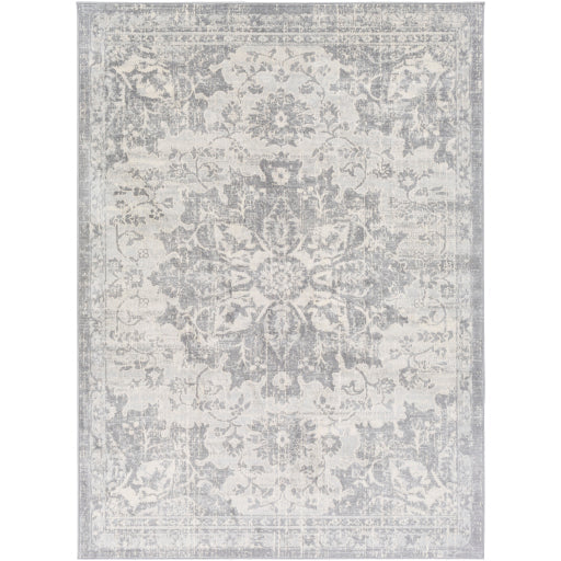 media image for Monaco Silver Gray Rug Flatshot Image 247