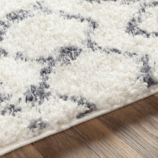 media image for Maroc Shag Medium Gray Rug Texture Image 221