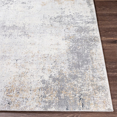 product image for Norland Light Gray Rug Front Image 86