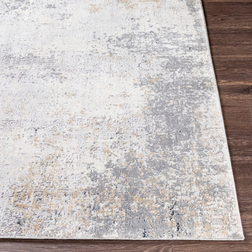 media image for Norland Light Gray Rug Front Image 282