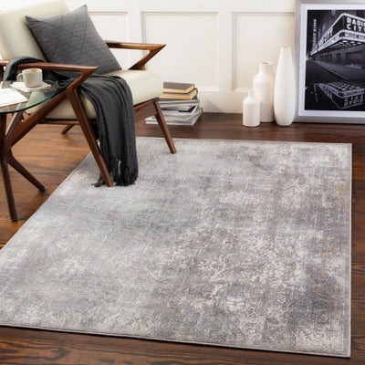 product image for Norland Medium Gray Rug Roomscene Image 0