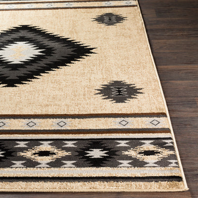 product image for Paramount Rug 74