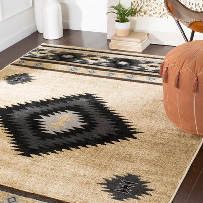 product image for Paramount Rug 45