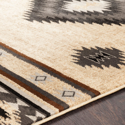 product image for Paramount Rug 23