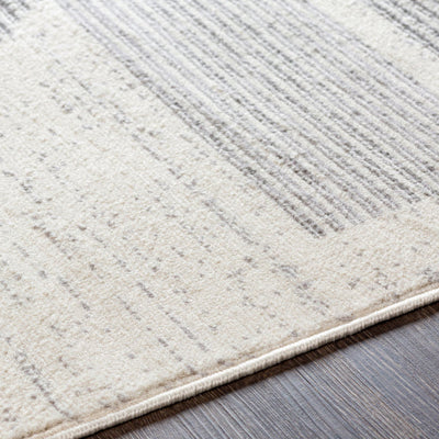 product image for Pisa Grey Rug Texture Image 64