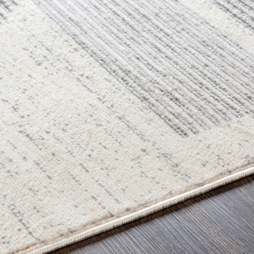 media image for Pisa Grey Rug Texture Image 26