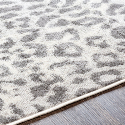 product image for Pisa Grey Rug Texture Image 35