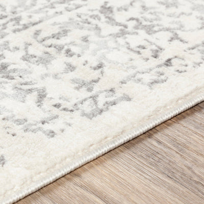 product image for Roma White Rug Texture Image 86