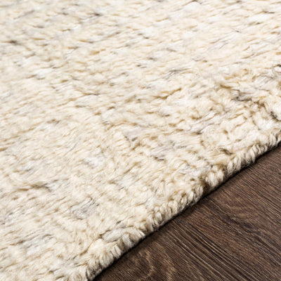 product image for Sahara Wool Cream Rug Texture Image 83