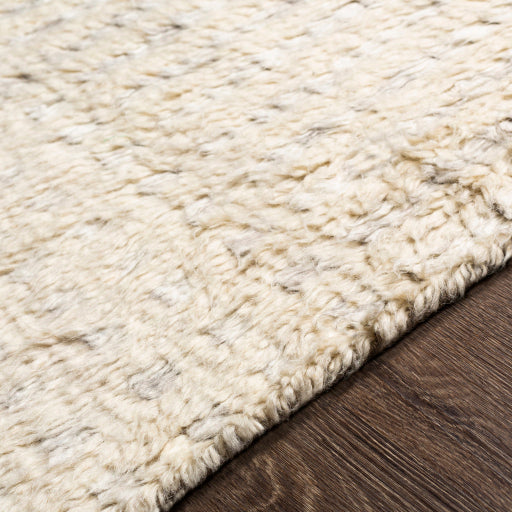 media image for Sahara Wool Cream Rug Texture Image 279