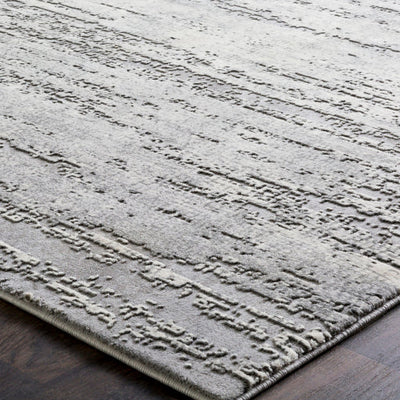 product image for Tibetan Taupe Rug Texture Image 60