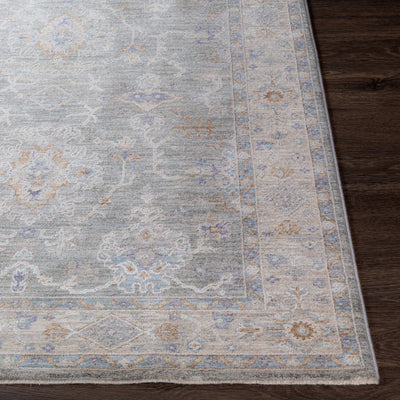 product image for Virginia Grey Rug Front Image 74