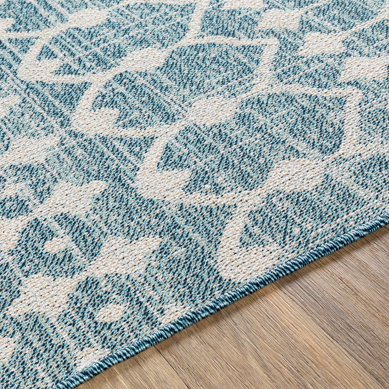 media image for Veranda Indoor / Outdoor Rug 260