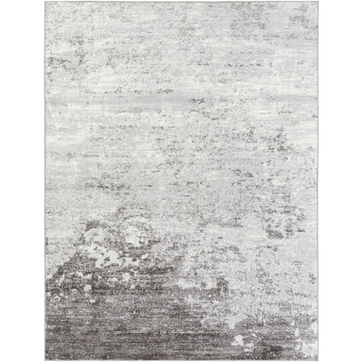 product image for Wanderlust Silver Gray Rug Flatshot 2 Image 54