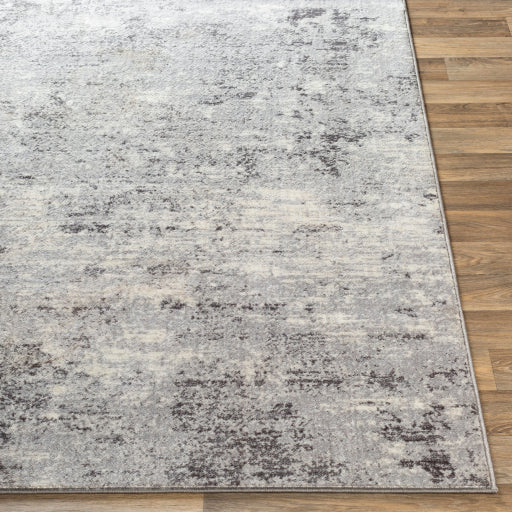 media image for Wanderlust Silver Gray Rug Front Image 234