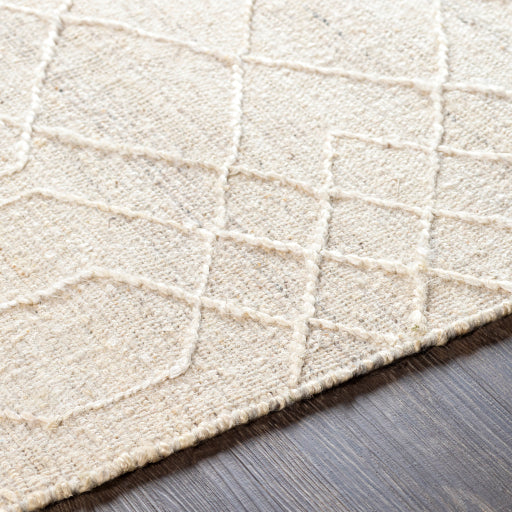 media image for Watford Jute Ivory Rug Texture Image 254